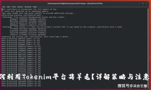  如何利用Tokenim平台薅羊毛？详解策略与注意事项
