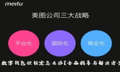  数字钱包被锁定怎么办？全面指导与解决方案