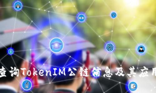 如何查询TokenIM公链信息及其应用指南