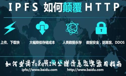 如何查询TokenIM公链信息及其应用指南