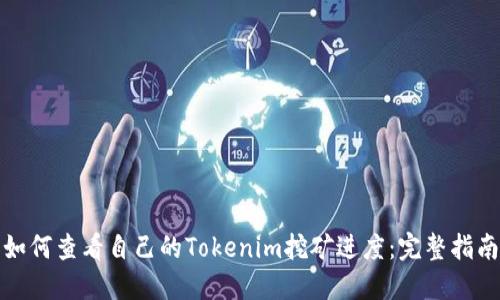如何查看自己的Tokenim挖矿进度：完整指南