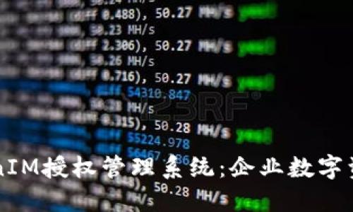 高效安全的TokenIM授权管理系统：企业数字资产安全的守护者