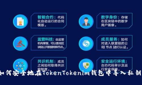 如何安全地在TokenTokenim钱包中导入私钥？