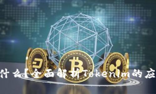 Tokenim能提什么？全面解析Tokenim的应用场景与价值