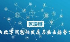 国内数字钱包的发展与未来趋势分析