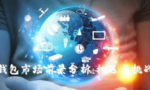 加密钱包市场前景分析：机遇与挑战并存