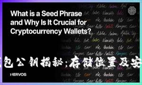 区块链钱包公钥揭秘：存储位置及安全性分析