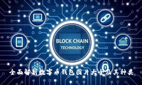 全面解析数字币钱包图片大全及其种类