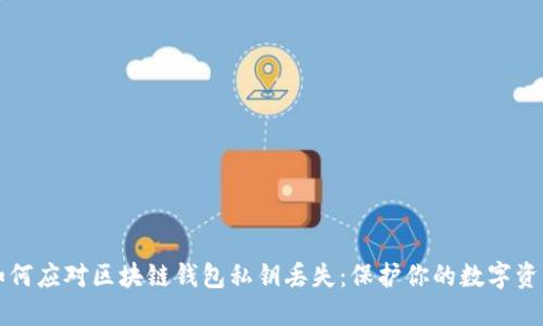 如何应对区块链钱包私钥丢失:保护你的数字资产