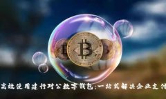 如何高效使用建行对公数字钱包：一站