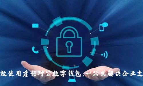 如何高效使用建行对公数字钱包：一站式解决企业支付问题
