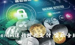 如何高效利用Tokenim进行境外支付：实