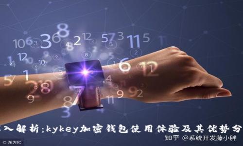 深入解析：kykey加密钱包使用体验及其优势分析