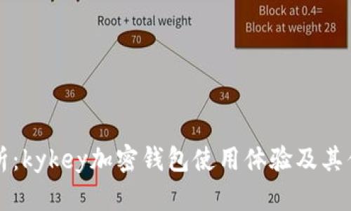 深入解析：kykey加密钱包使用体验及其优势分析