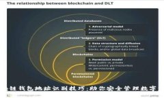 区块链钱包地址识别技巧：助你安全管