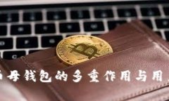 数字人民币母钱包的多重作用与用户价