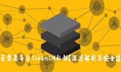 是否需要导出TokenIM私钥？深度解析及