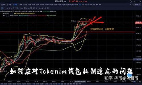 如何应对Tokenim钱包私钥遗忘的问题