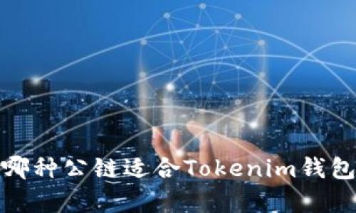 浅析：哪种公链适合Tokenim钱包使用？