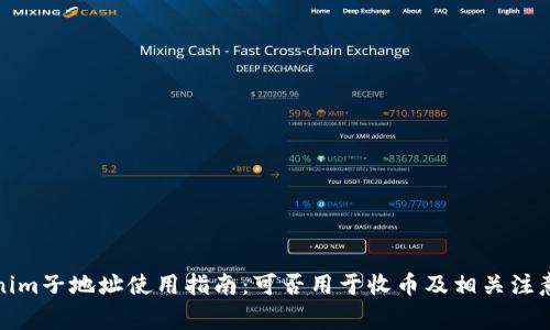 Tokenim子地址使用指南：可否用于收币及相关注意事项