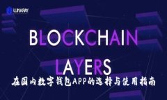 在国内数字钱包APP的选择与使用指南