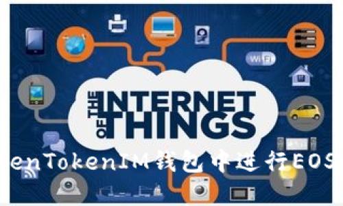 如何在TokenTokenIM钱包中进行EOS映射操作？