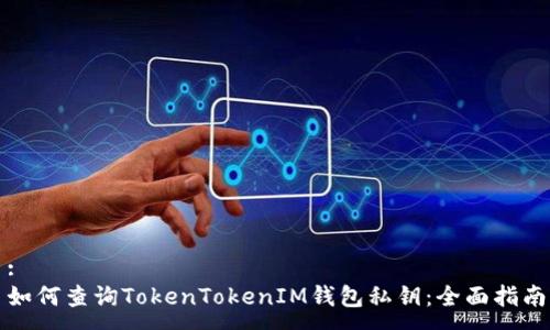 :
如何查询TokenTokenIM钱包私钥：全面指南