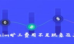 解读Tokenim旷工费用不足现象及其背后原因