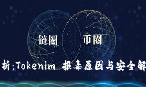深入分析：Tokenim 报毒原因与安全解决方案