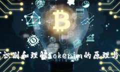 如何识别和理解Tokenim的原理与应用
