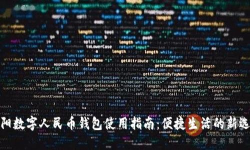 沈阳数字人民币钱包使用指南：便捷生活的新选择