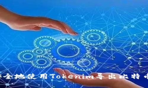 如何安全地使用Tokenim导出比特币私钥？