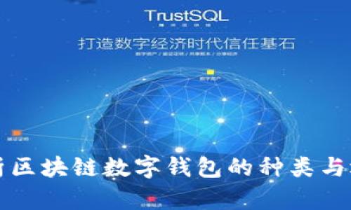 全面解析区块链数字钱包的种类与选择指南