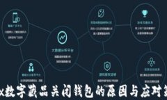 ibox数字藏品关闭钱包的原因与应对策略