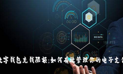 数字钱包充钱限额：如何有效管理你的电子支付