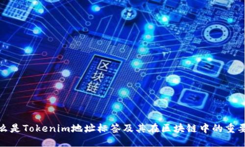 什么是Tokenim地址标签及其在区块链中的重要性