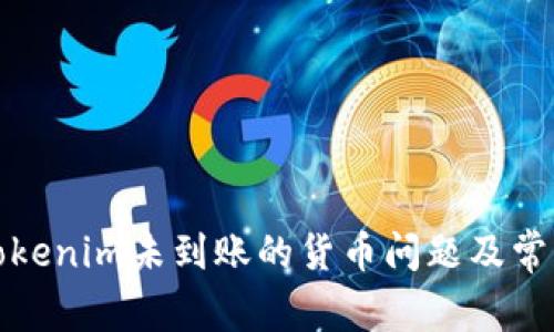 如何处理Tokenim未到账的货币问题及常见解决方案