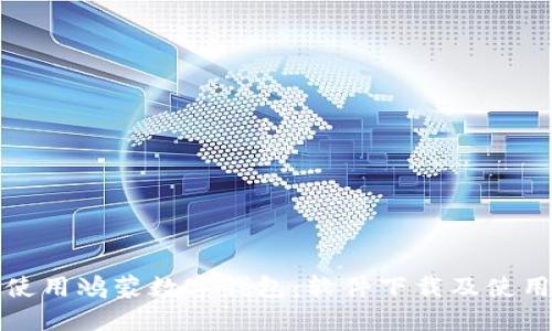 如何使用鸿蒙数字钱包：软件下载及使用指南