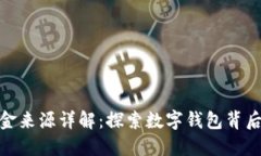 数字钱包资金来源详解：探索数字钱包背后的资