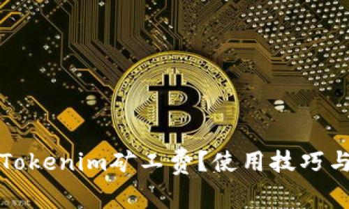 如何降低Tokenim矿工费？使用技巧与解决方案
