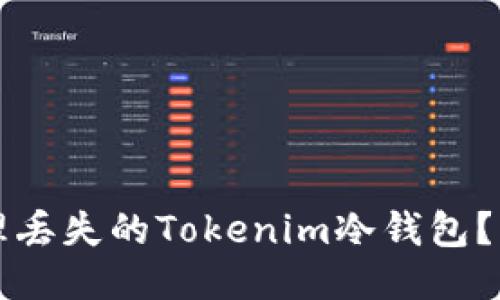 如何处理丢失的Tokenim冷钱包？详细指南