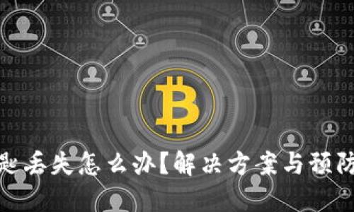 : 钱包数字钥匙丢失怎么办？解决方案与预防措施全面指南