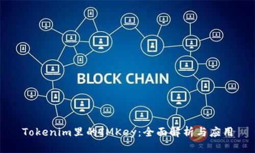 Tokenim里的IMKey：全面解析与应用