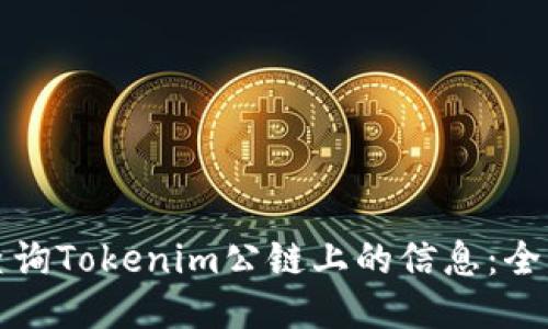 如何查询Tokenim公链上的信息：全面指南