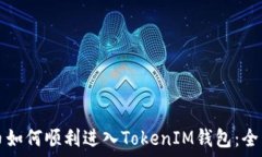   虚拟币如何顺利进入TokenIM钱包：全面指南