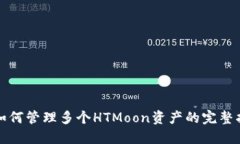TP如何管理多个HTMoon资产的完整指南