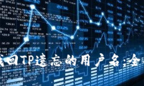 如何找回TP遗忘的用户名：全面指南