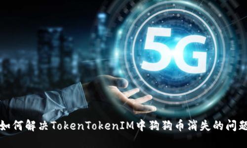如何解决TokenTokenIM中狗狗币消失的问题